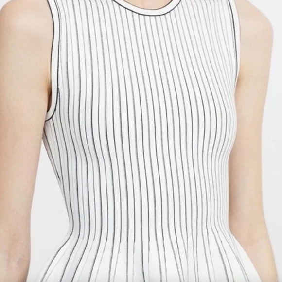 NWT!Theory White and Black Striped Peplum Tank, Top, Knit Size Petite Retail: $2 - Picture 3 of 16